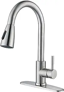 DOHLONEKP Kitchen Faucet with Pull Down Sprayer