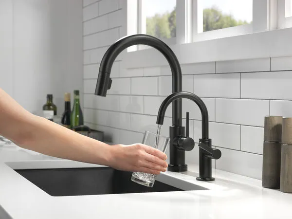 beverage faucet