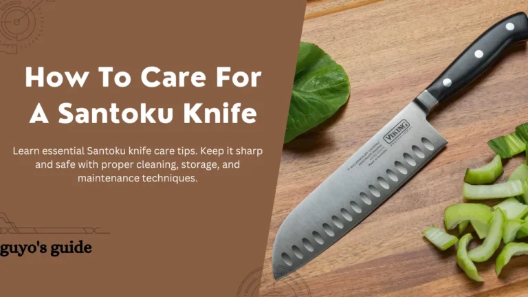 How To Care For A Santoku Knife (Comprehensive Guide)