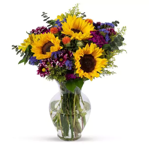 Benchmark Bouquets Fresh Cut Flowers on a white background, the flower is in a transparent vase