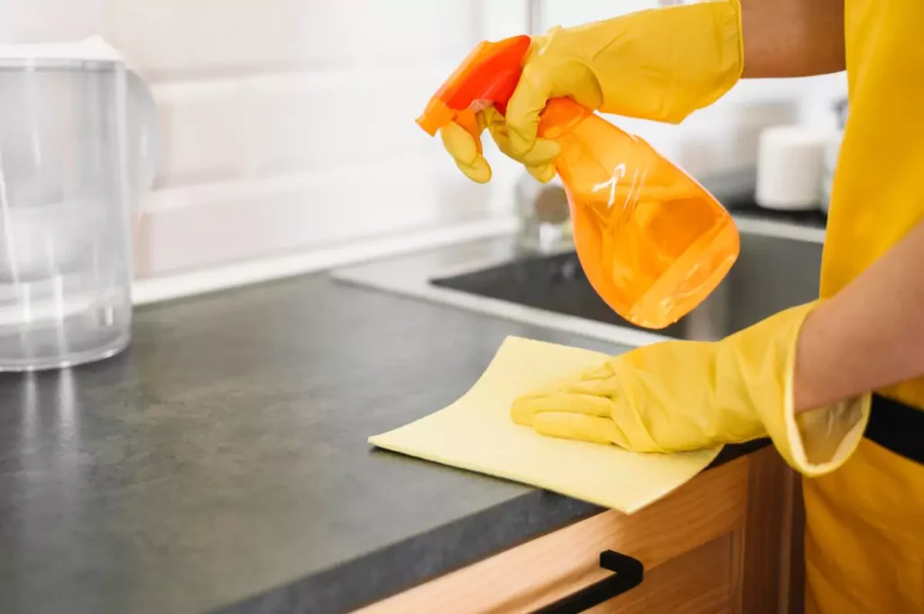 daily kitchen cleaning checklist