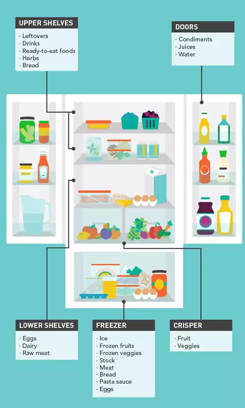 An organized refrigerator interior with labeled sections for different types of food items, including upper shelves for leftovers, drinks, and ready-to-eat foods; doors for condiments and juices; lower shelves for eggs, dairy, and raw meat; a freezer for ice and frozen foods; and a crisper for fruits and veggies.