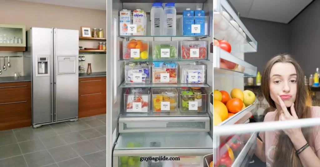 Things You Need to Know About Your Refrigerator - Featured Image
