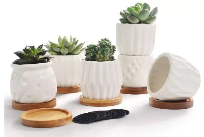 B SEPOR Set of 6 Small Plant Pots on a white background