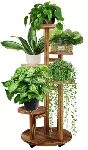 
GEEBOBO 5 Tiered Tall Plant Stand for Indoor on a white background