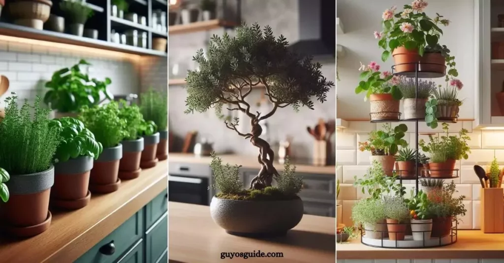 Kitchen Plant Decor Ideas - Featured Image