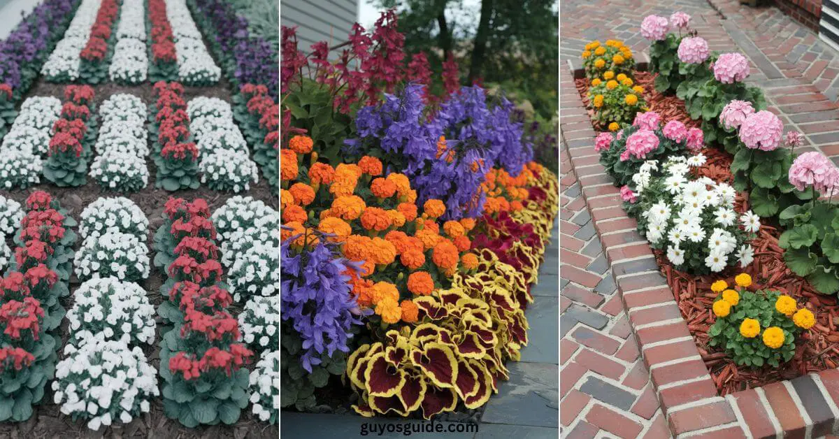 Flower Bed Ideas - Guyo's Guide