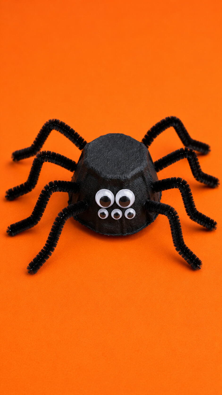 Egg Carton Spiders