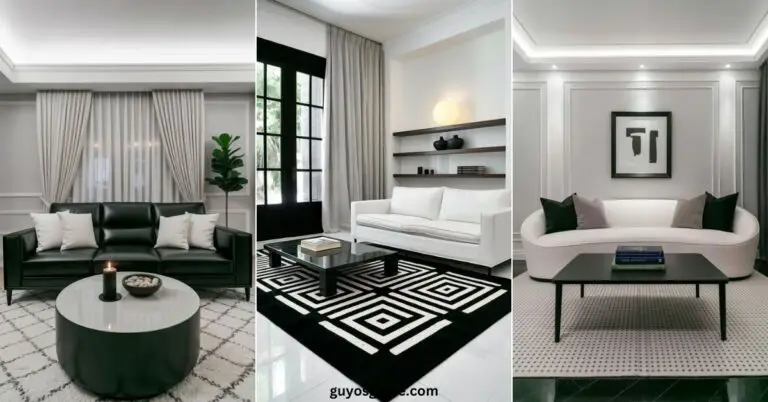 Black and White Living Room Ideas - Guyo's Guide