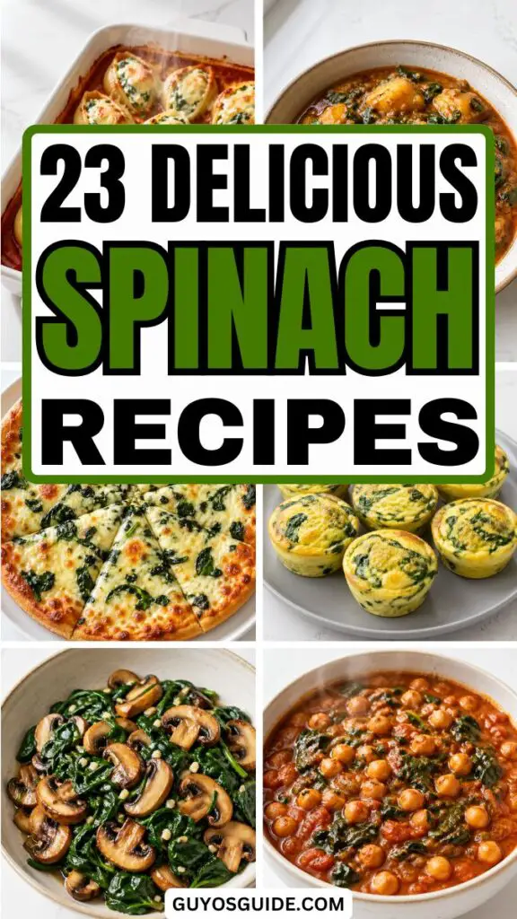 Spinach Recipes