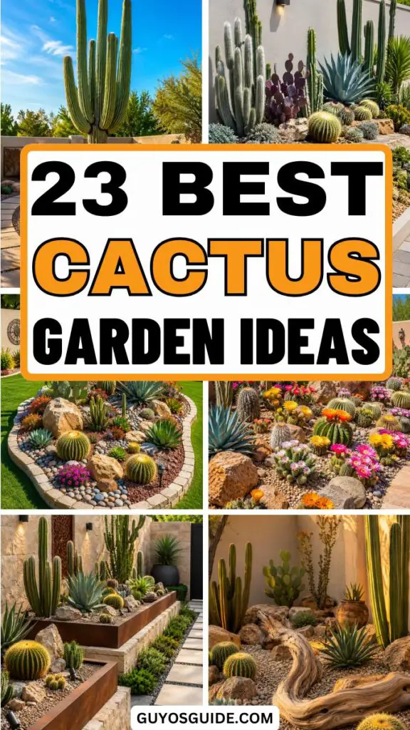 Cactus Garden Ideas